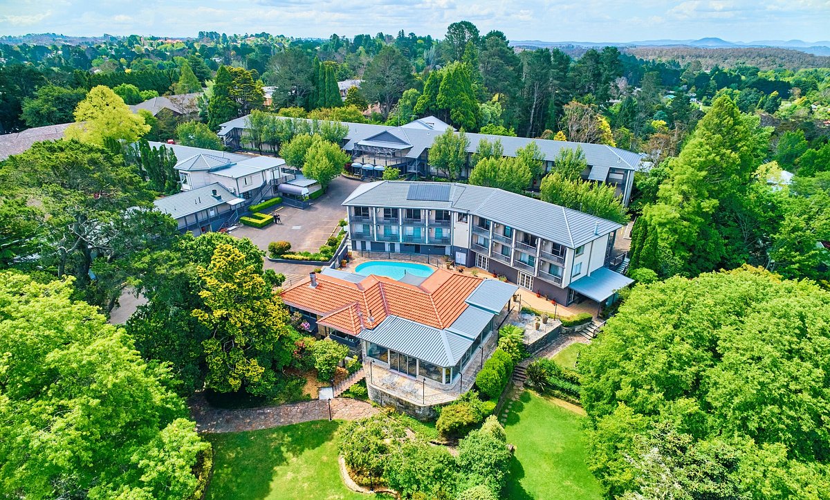 Leura Camellias — photo 4