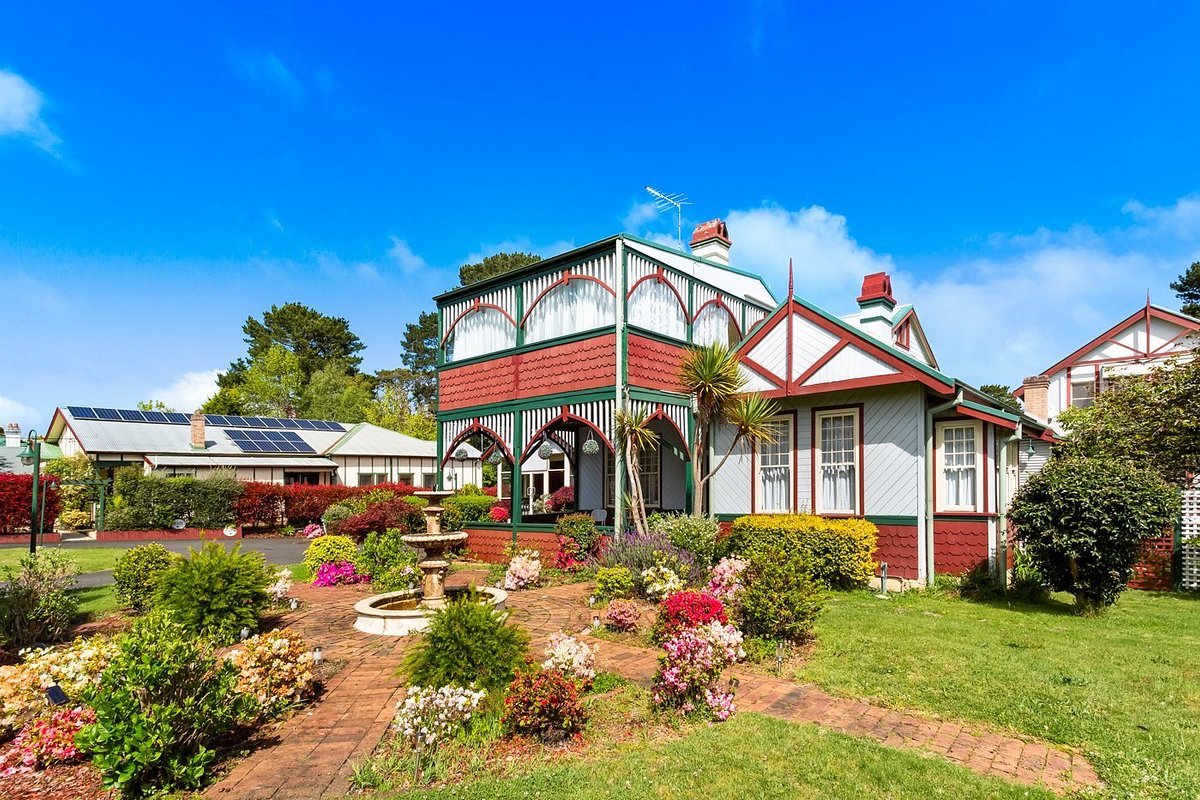 Leura Camellias — photo 5